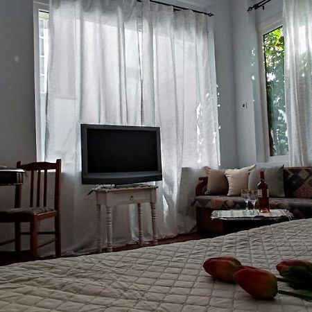 Dream Catcher Studio Скопелос Екстер'єр фото